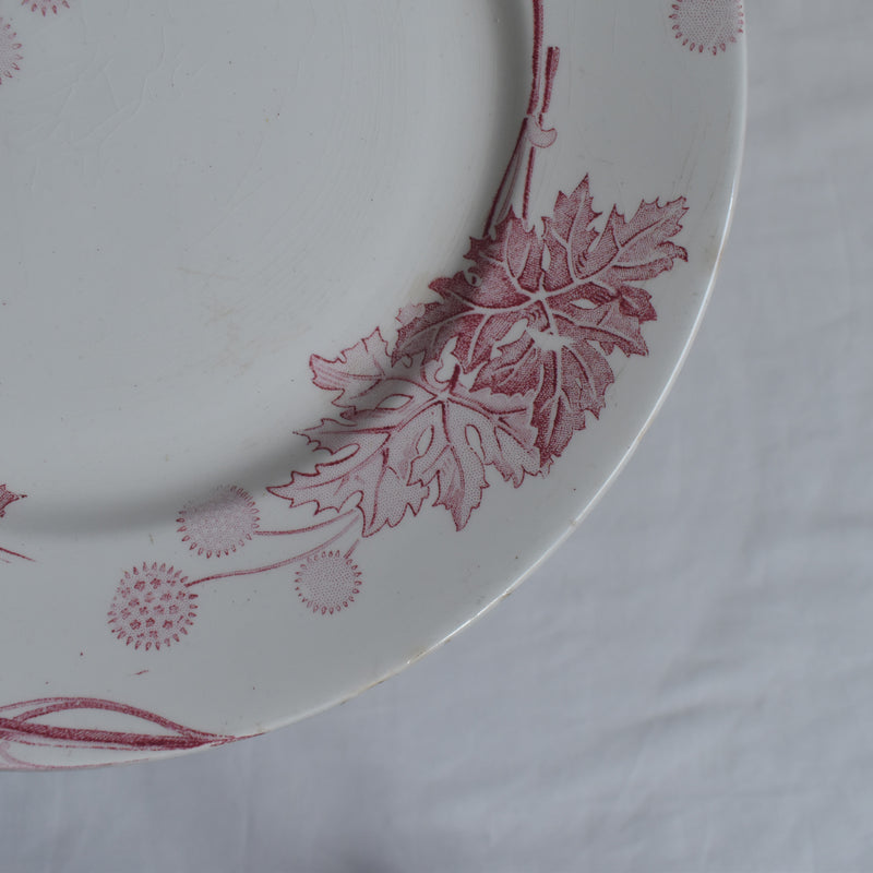 Antique Plate K&G Lunéville Platane Z7