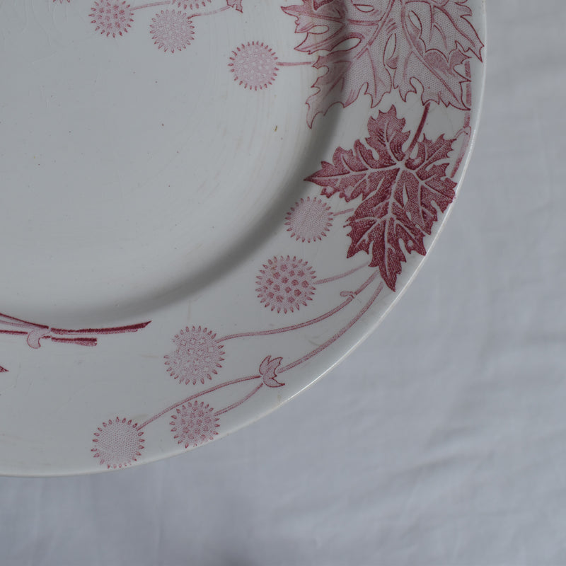 Antique Plate K&G Lunéville Platane Z7