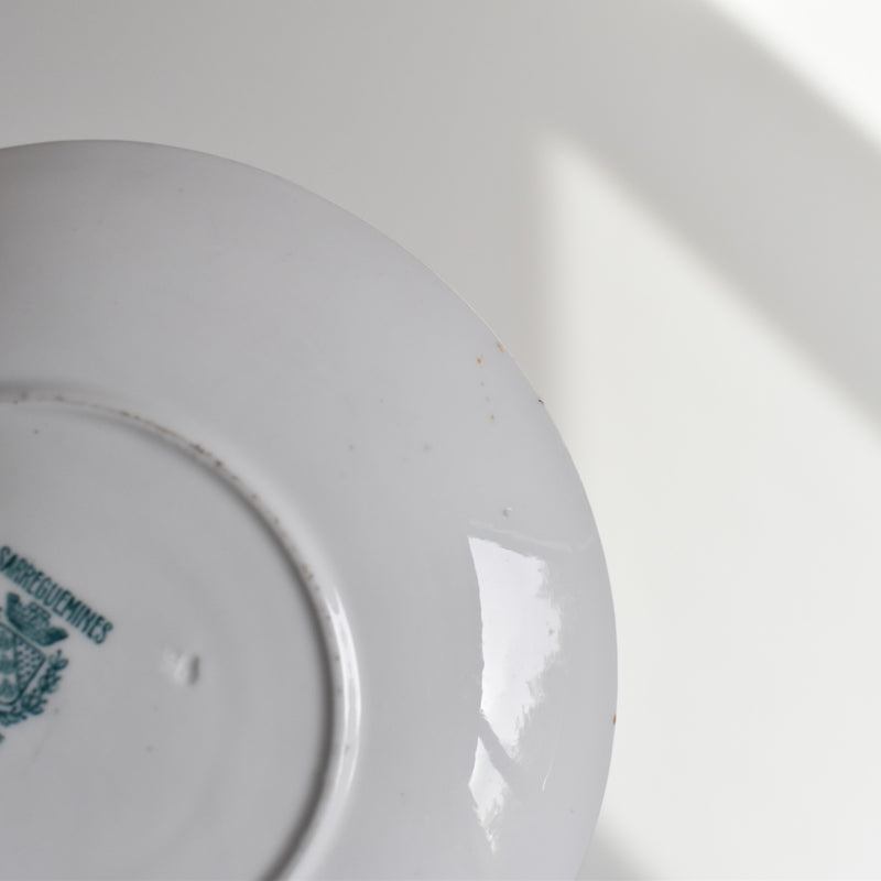 Antique Teacup & Saucer Sarreguemines Minton 216 B