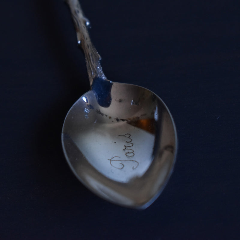 Set of 2 Vintage Mocha Spoons