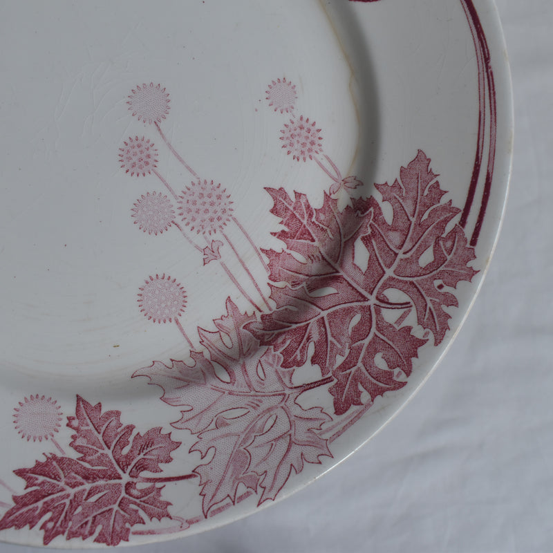 Antique Plate K&G Lunéville Platane Z7
