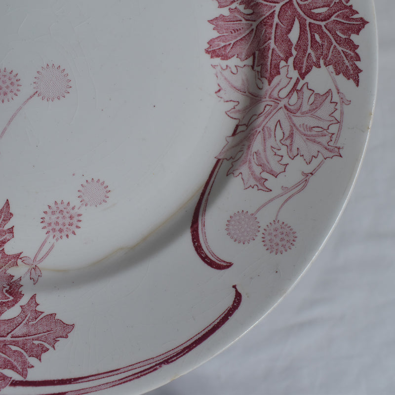 Antique Plate K&G Lunéville Platane Z7