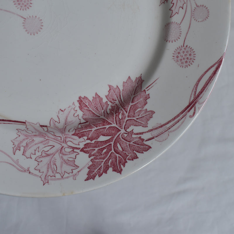 Antique Plate K&G Lunéville Platane Z7