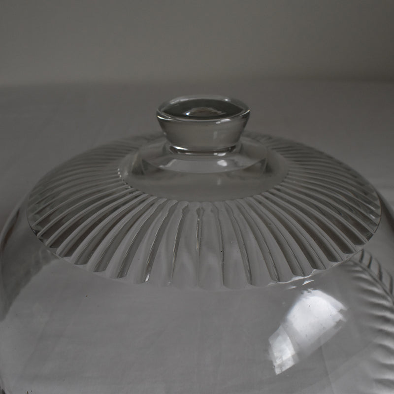 ヴィンテージガラスドーム ビッグ