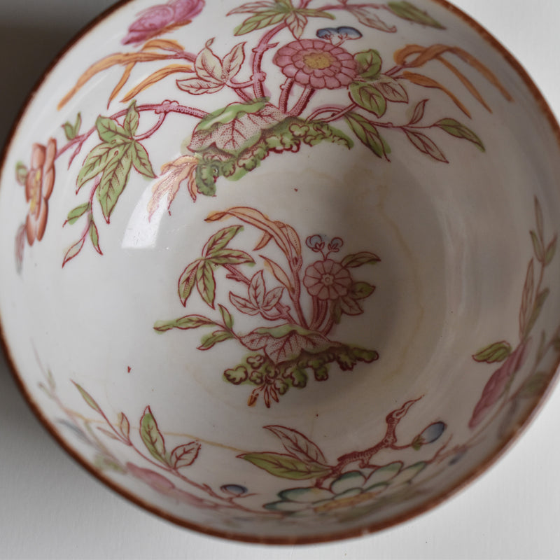 Antique Teacup & Saucer Sarreguemines Minton 216 B