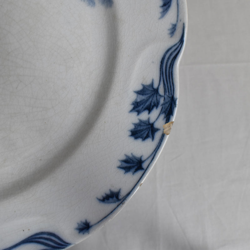 Antique Plate Villeroy & Boch Chardons