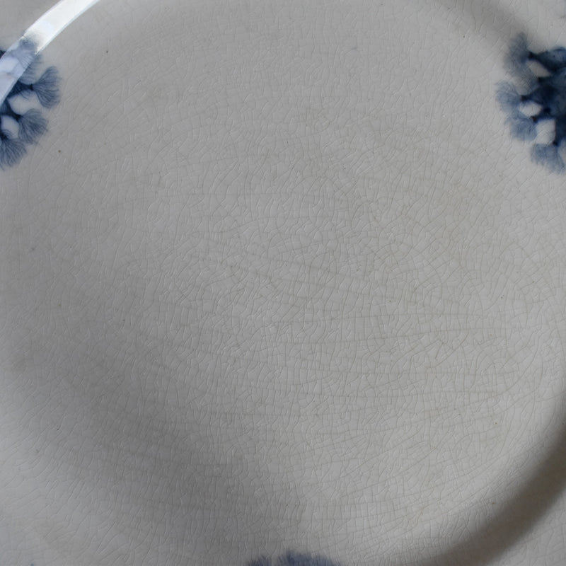 Antique Plate Villeroy & Boch Chardons