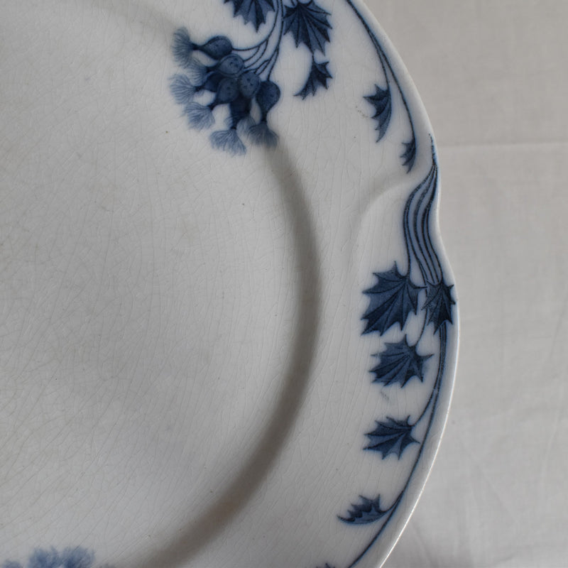 Antique Plate Villeroy & Boch Chardons