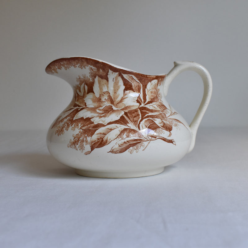 Antique Pitcher Creil et Montereau Camélia