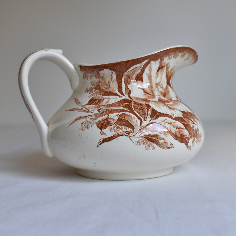 Antique Pitcher Creil et Montereau Camélia