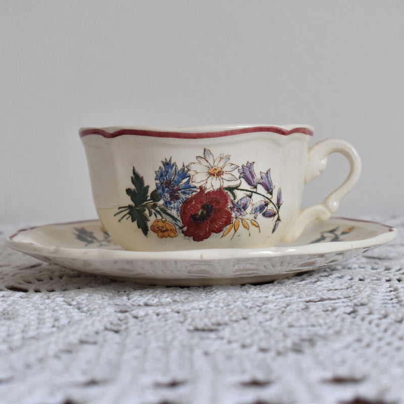 Vintage Chocolate Cup & Saucer, Digoin & Sarreguemines, Agreste A
