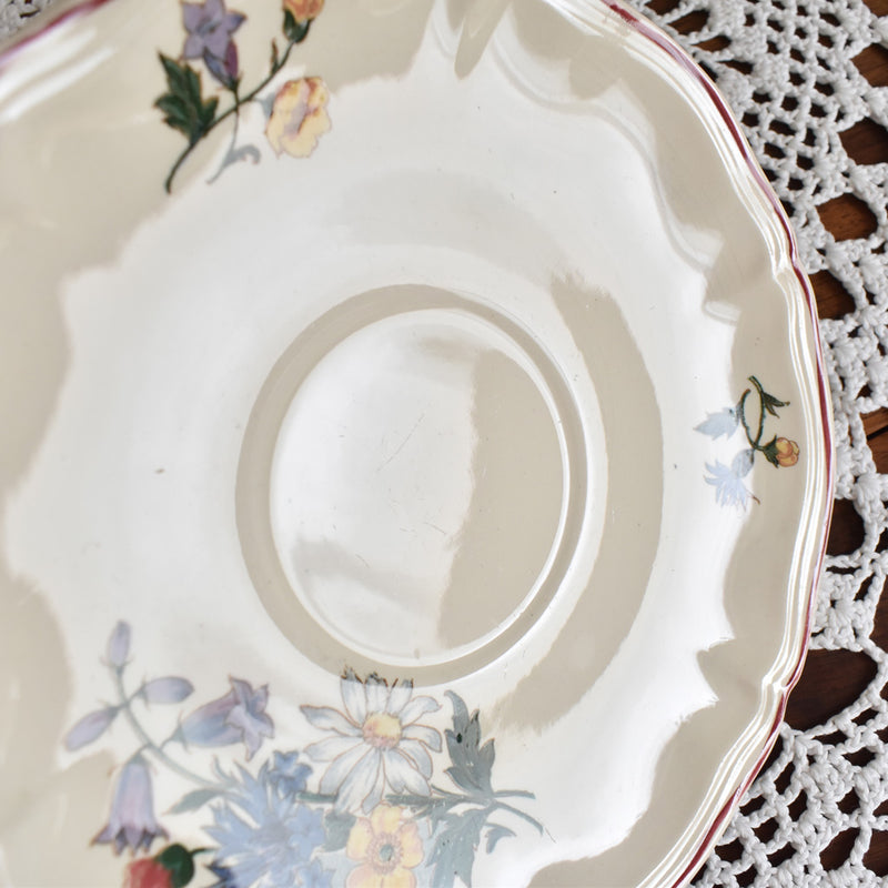 Vintage Chocolate Cup & Saucer, Digoin & Sarreguemines, Agreste A