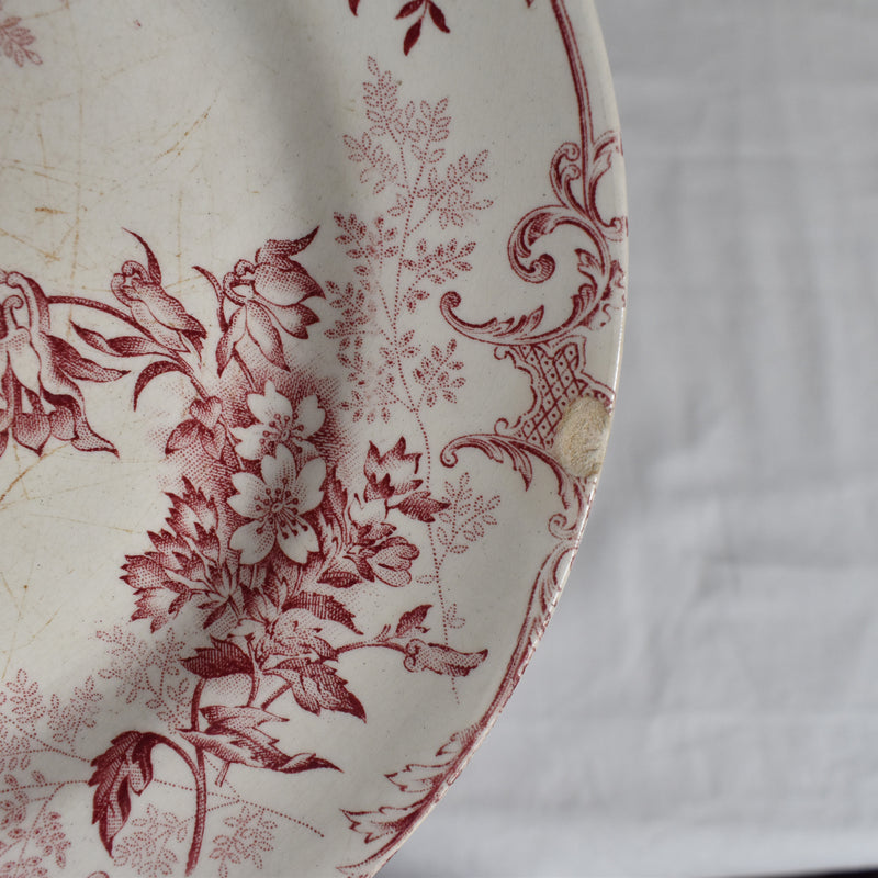 Antique Plate, Choisy-le-Roi, Floreal A