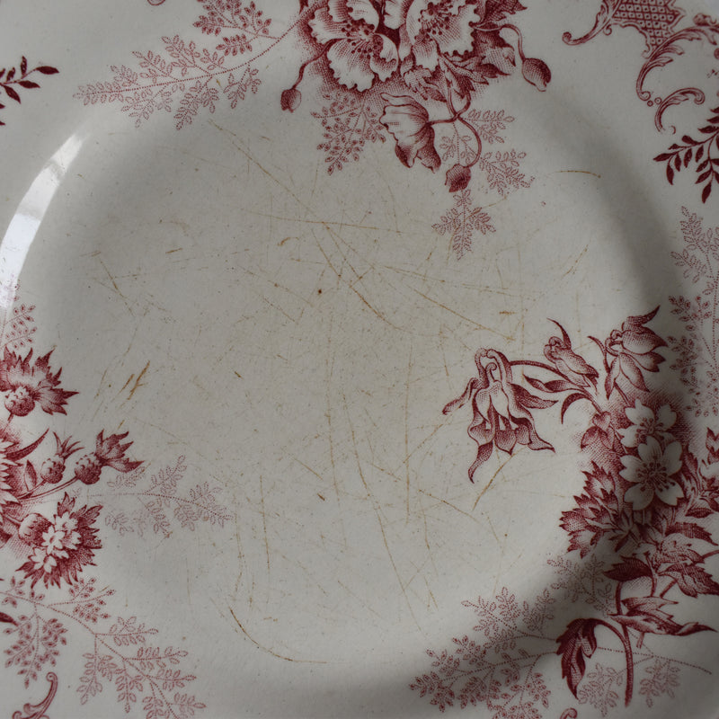 Antique Plate, Choisy-le-Roi, Floreal A