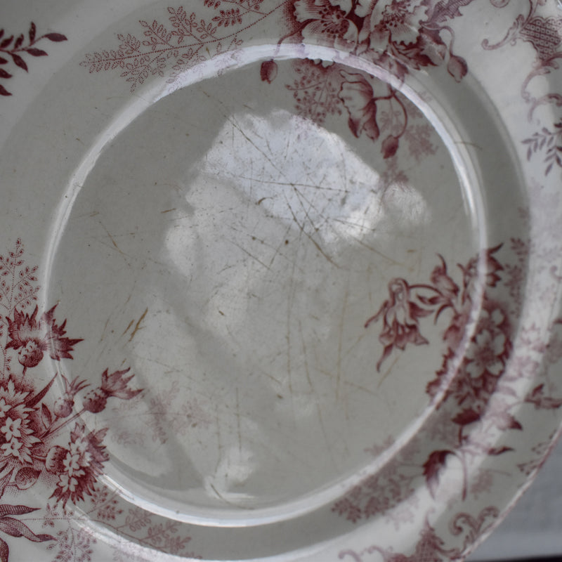 Antique Plate, Choisy-le-Roi, Floreal A