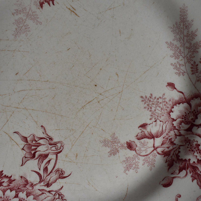 Antique Plate, Choisy-le-Roi, Floreal A