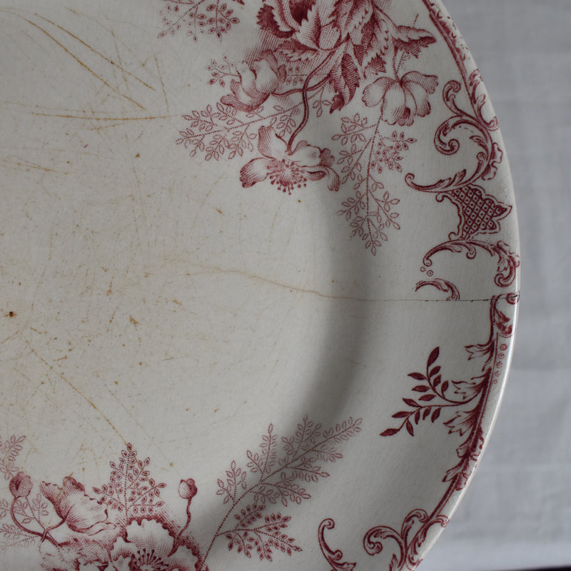 Antique Plate, Choisy-le-Roi, Floreal B