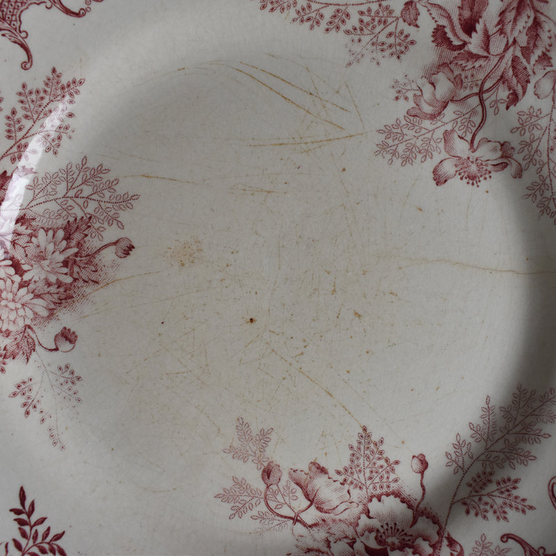 Antique Plate, Choisy-le-Roi, Floreal B