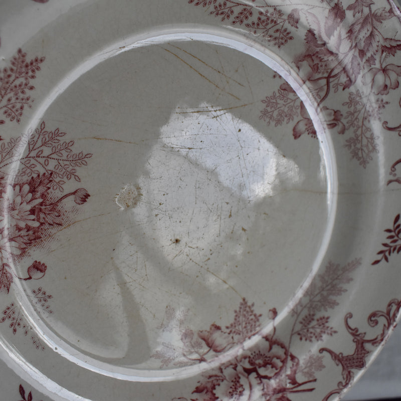 Antique Plate, Choisy-le-Roi, Floreal B