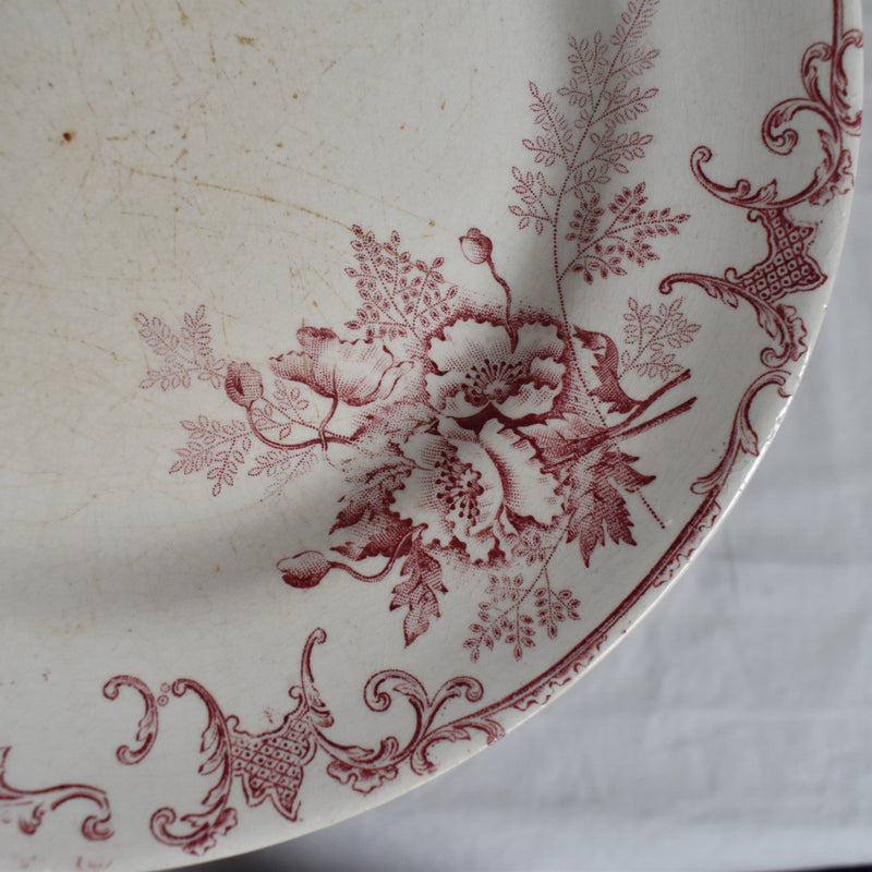 Antique Plate, Choisy-le-Roi, Floreal B