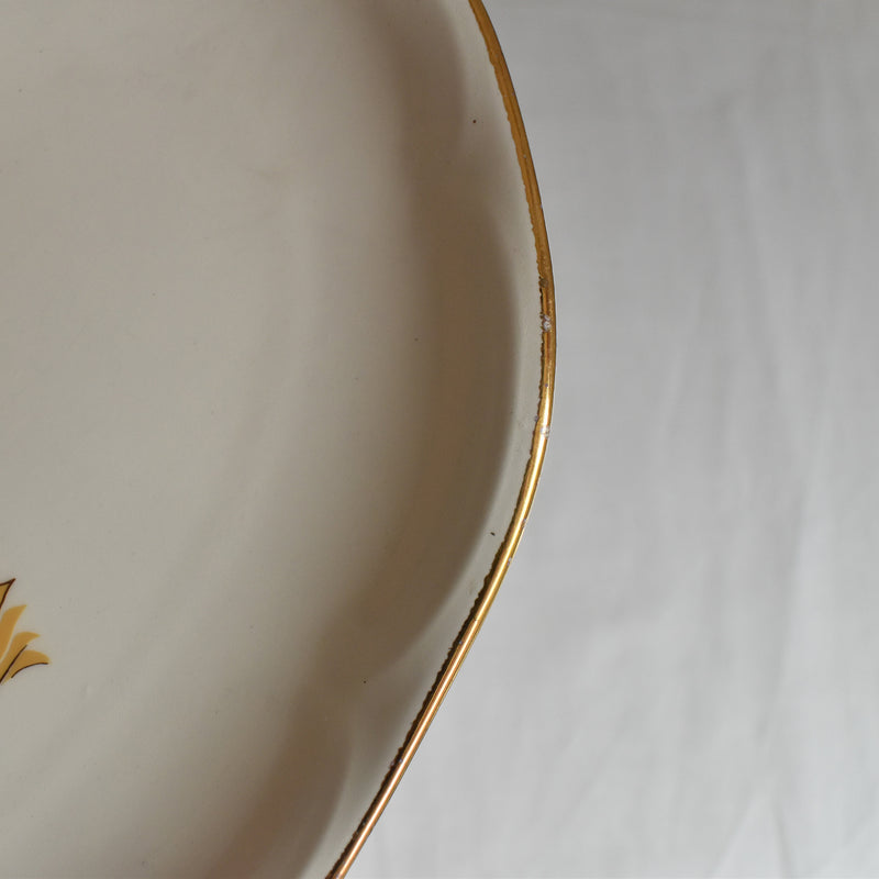 Vintage Raviere Gien Floréal