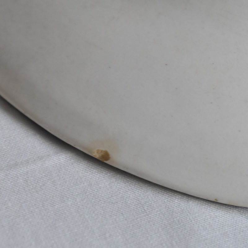 Antique Oval Platter Longwy Muguet (Lily of the Valley)