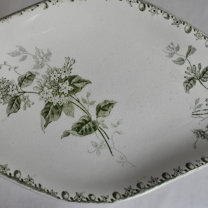 Antique Raviers St. Amand & Hamage Caiffa