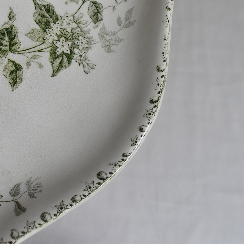 Antique Raviers St. Amand & Hamage Caiffa