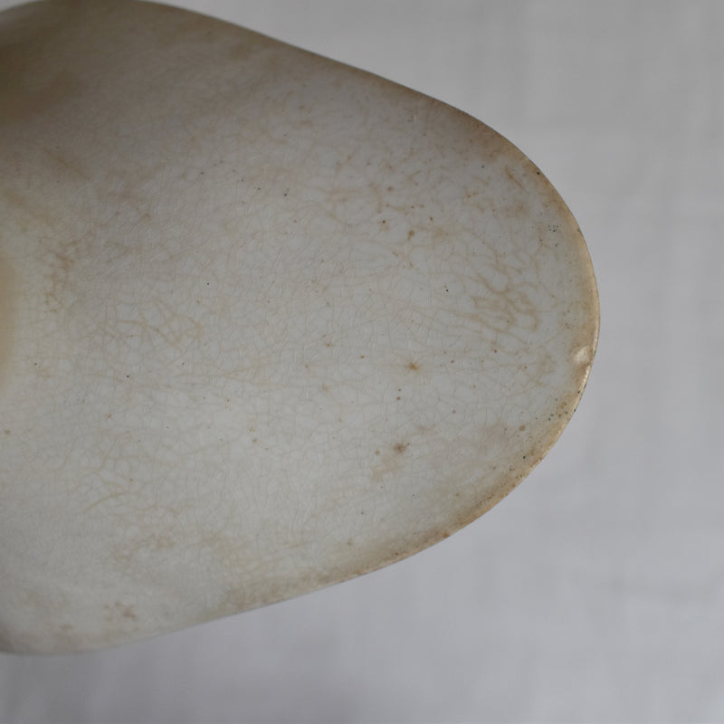Antique Raviere Saint Amand Dinosaure Muguet