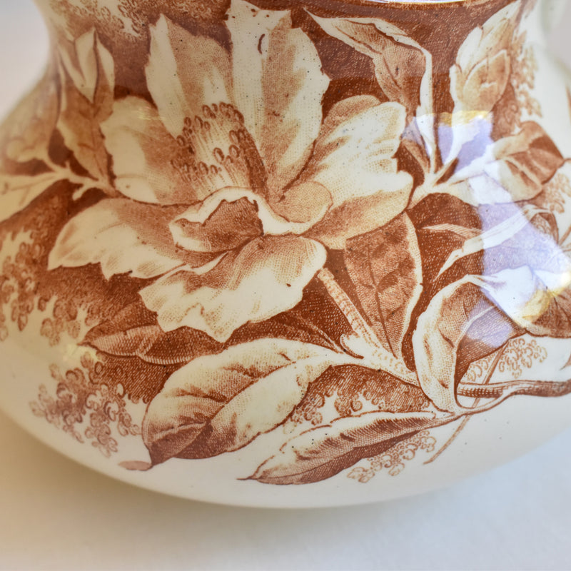 Antique Pitcher Creil et Montereau Camélia
