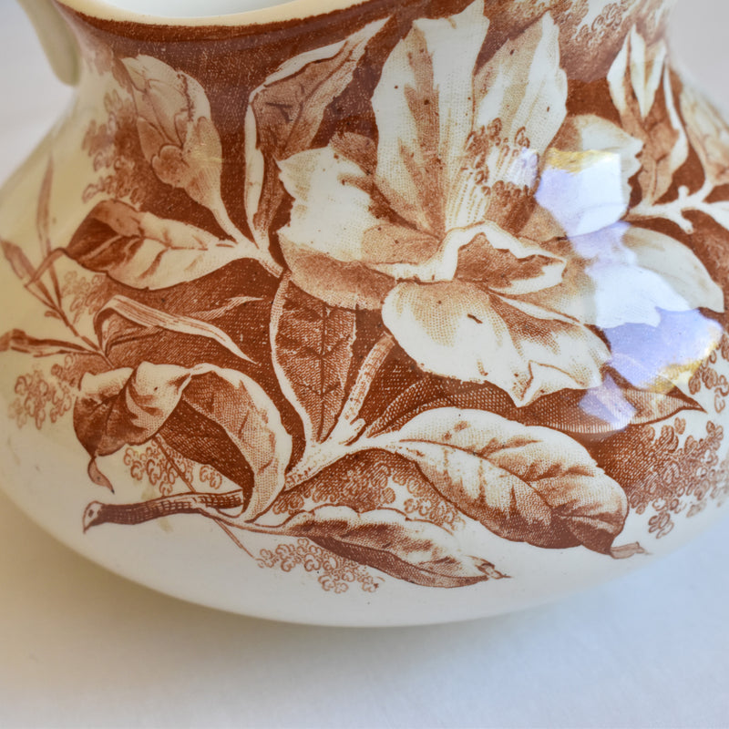 Antique Pitcher Creil et Montereau Camélia