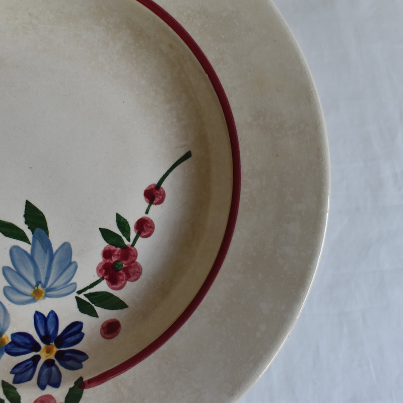 Vintage deep plate Digoin & Sarreguemines Champfleury