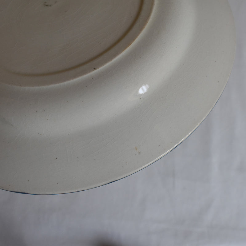 Antique Plate Salins Musset B