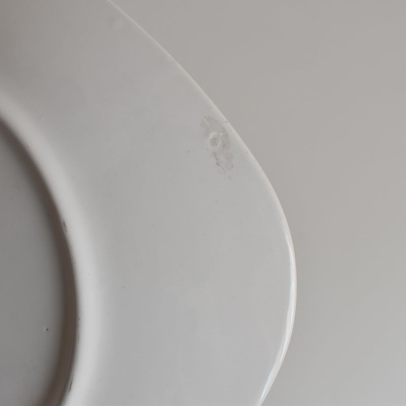Vintage plate, Longchamp, Poisson Truite Arc-en-ciel (Rainbow Trout)