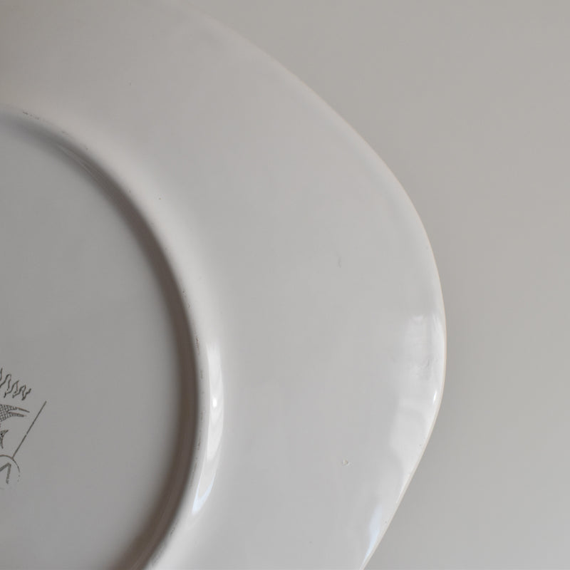 Vintage plate, Longchamp, Poisson Truite Arc-en-ciel (Rainbow Trout)
