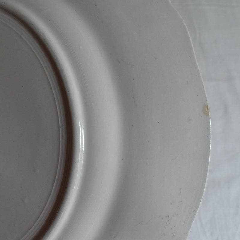 Antique Plate Sarreguemines Windsor