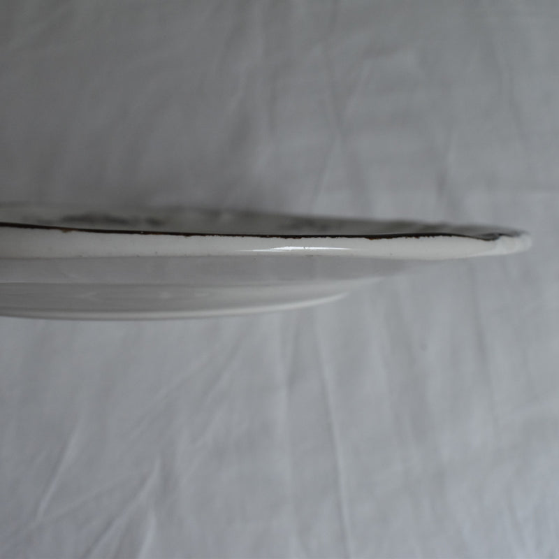 Antique Plate Sarreguemines Windsor