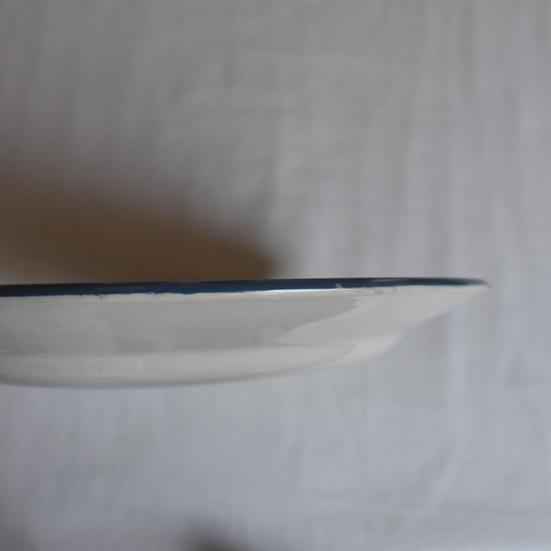 Antique Plate Salins Musset B