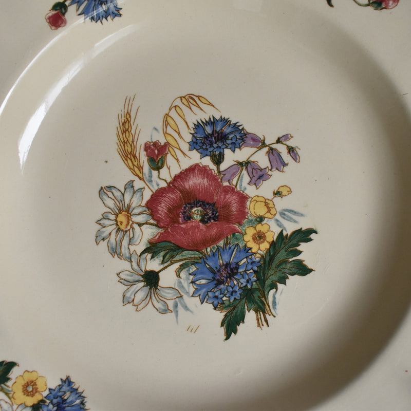 Vintage Deep Plate Digoin & Sarreguemines Agreste A