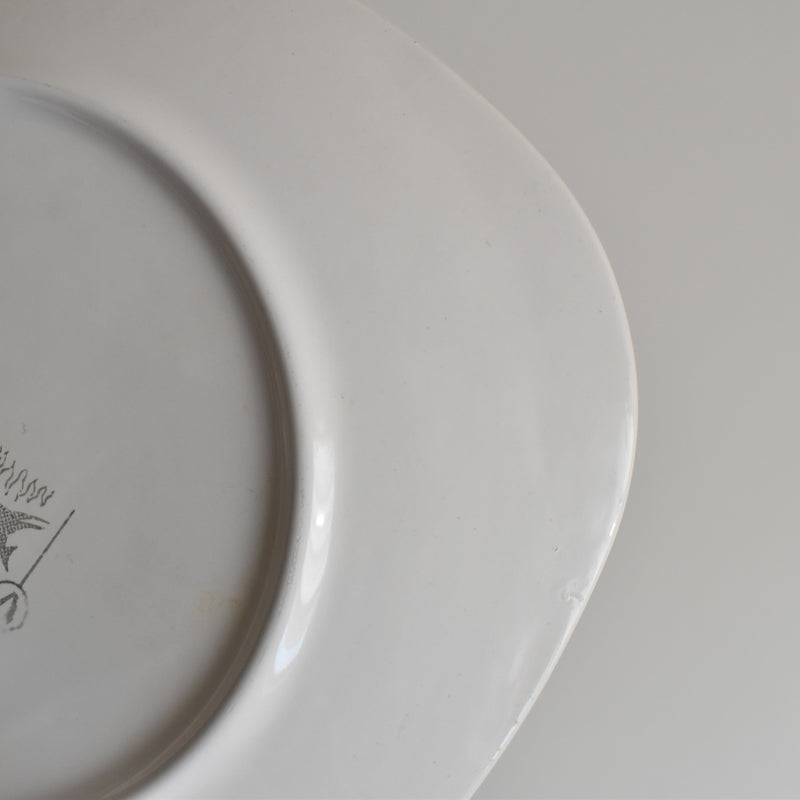 Vintage plate, Longchamp, Poisson Brochet (Pike)