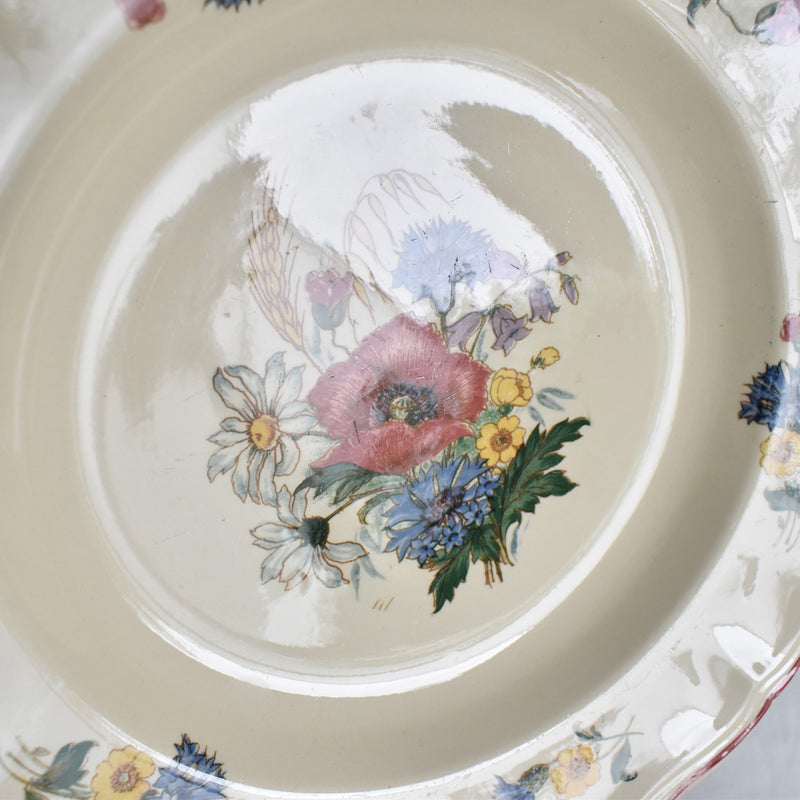 Vintage Deep Plate Digoin & Sarreguemines Agreste A