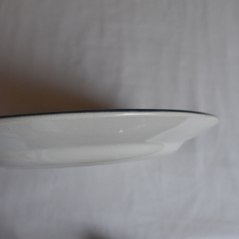 Antique plate Salins Musset C