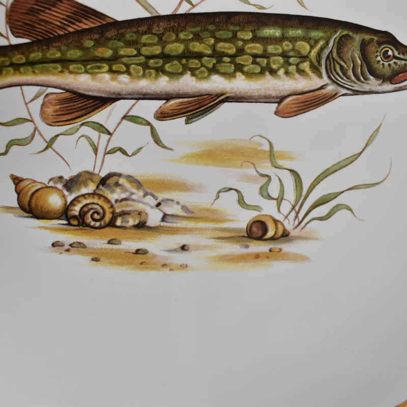 Vintage plate, Longchamp, Poisson Brochet (Pike)