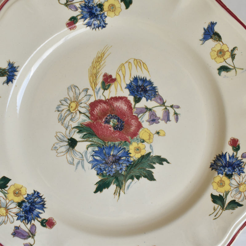 Vintage Plate 23cm Digoin & Sarreguemines Agreste A