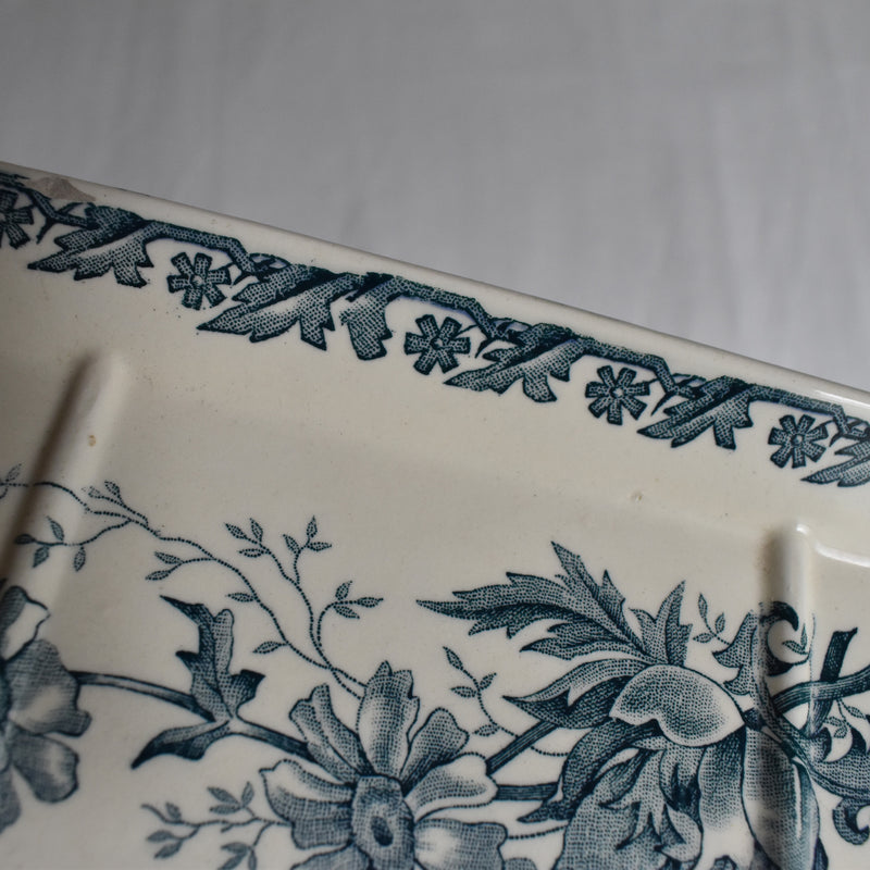 Antique Soap Dish, Saint-Amand, Anémone