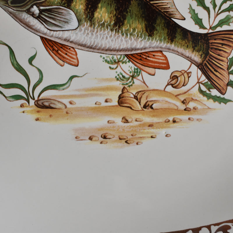 Vintage Plate Longchamp Poisson Perche (Perch)
