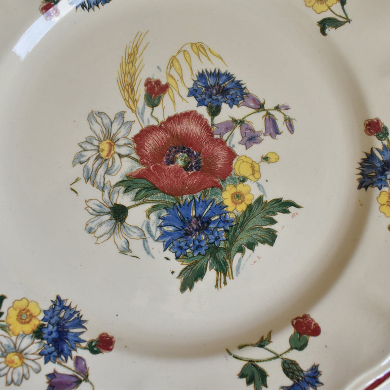 Vintage Plate 23cm Digoin & Sarreguemines Agreste B