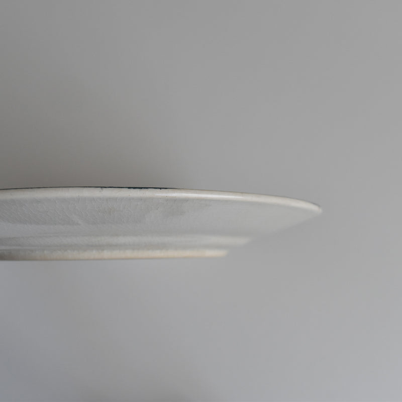 Antique Plate: Longwy "Carmen" E