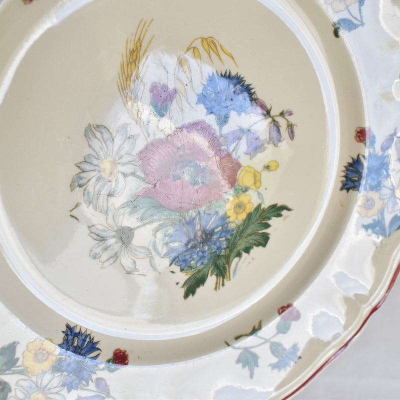 Vintage Plate 23cm Digoin & Sarreguemines Agreste B