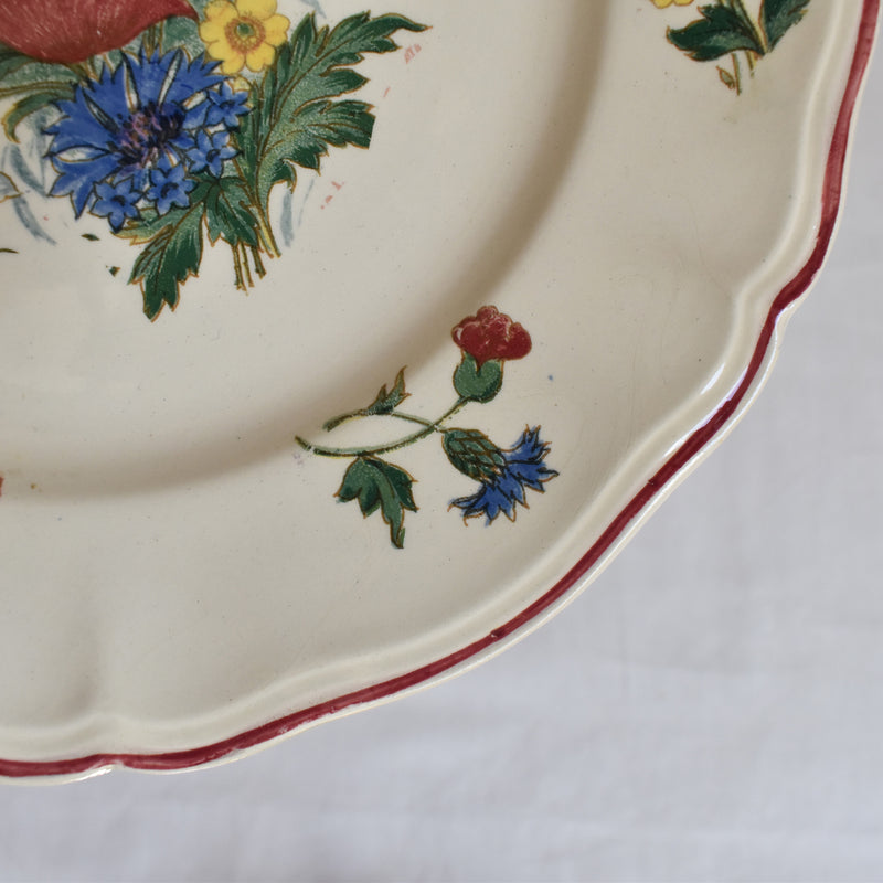 Vintage Plate 23cm Digoin & Sarreguemines Agreste B